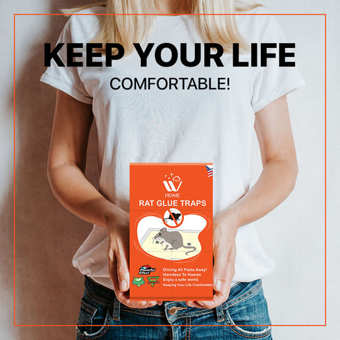Rat Glue Trap Small - 6 Pcs | WBM HOME